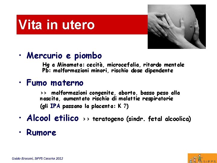 Vita in utero • Mercurio e piombo Hg a Minamata: cecità, microcefalia, ritardo mentale