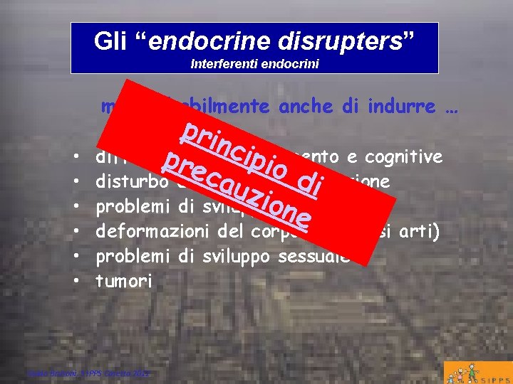Gli “endocrine disrupters” Interferenti endocrini ma probabilmente anche di indurre … pri n cip
