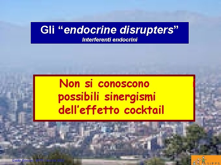 Gli “endocrine disrupters” Interferenti endocrini Non si conoscono possibili sinergismi dell’effetto cocktail Guido Brusoni,