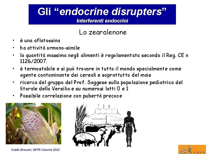 Gli “endocrine disrupters” Interferenti endocrini Lo zearalenone • • • è una aflatossina ha