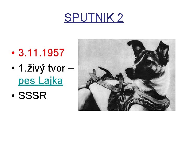 SPUTNIK 2 • 3. 11. 1957 • 1. živý tvor – pes Lajka •