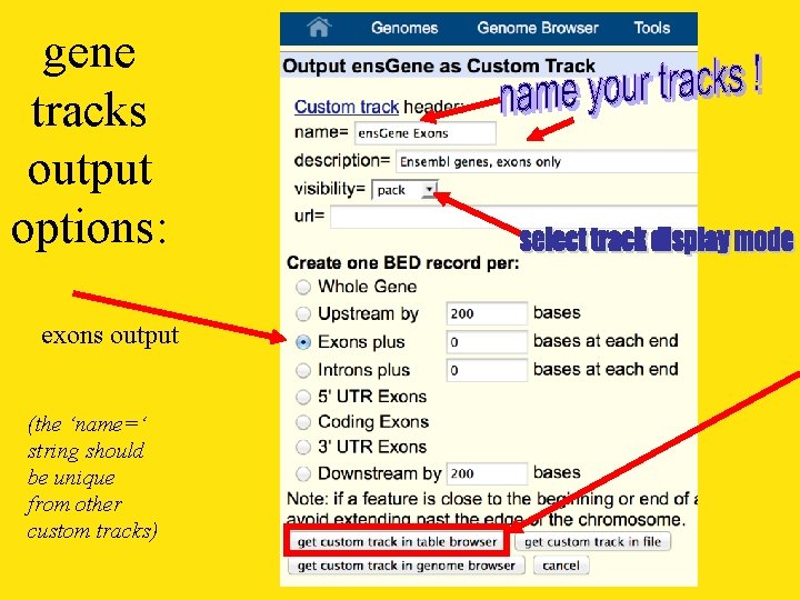 gene tracks output options: exons output (the ‘name=‘ string should be unique from other