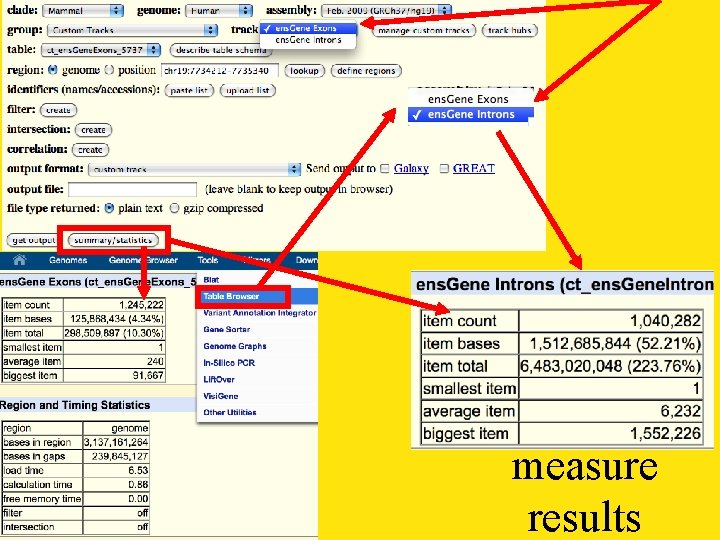 measure results 
