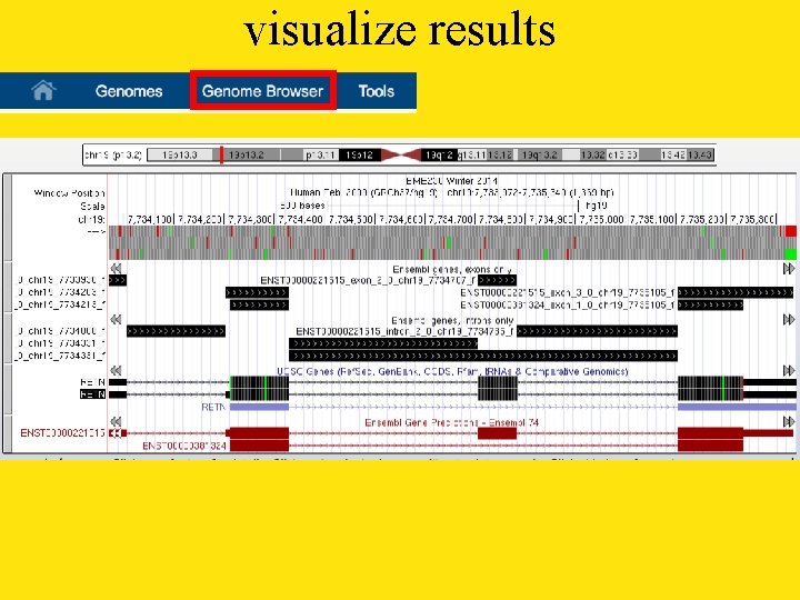 visualize results 