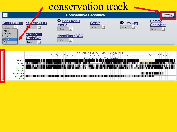 conservation track 