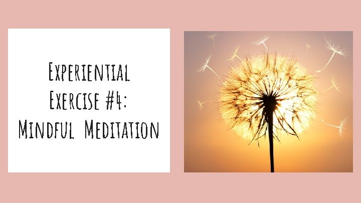 Experiential Exercise #4: Mindful Meditation 