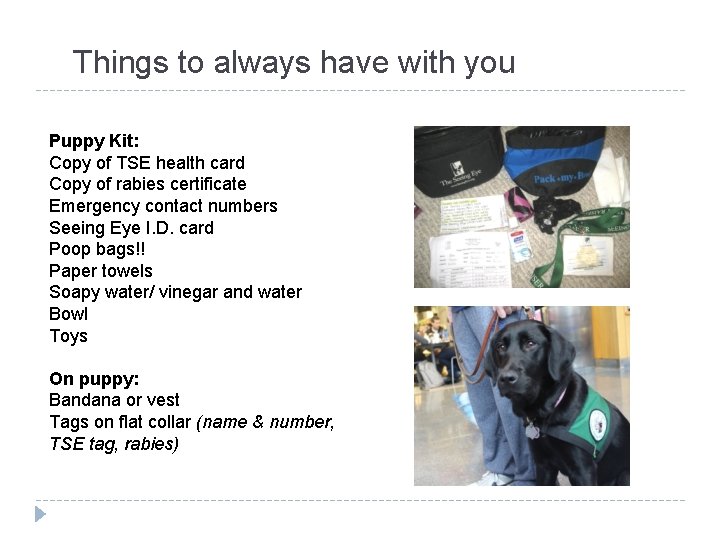 Things to always have with you Puppy Kit: Copy of TSE health card Copy