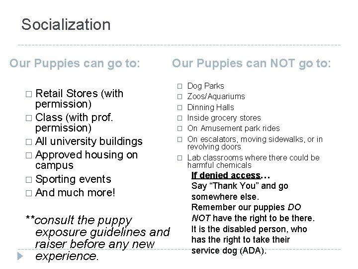 Socialization Our Puppies can go to: � Retail Stores (with permission) � Class (with
