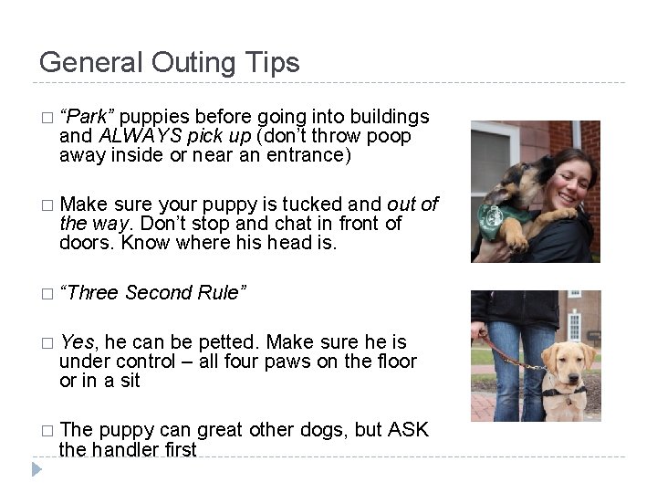 General Outing Tips � “Park” puppies before going into buildings and ALWAYS pick up