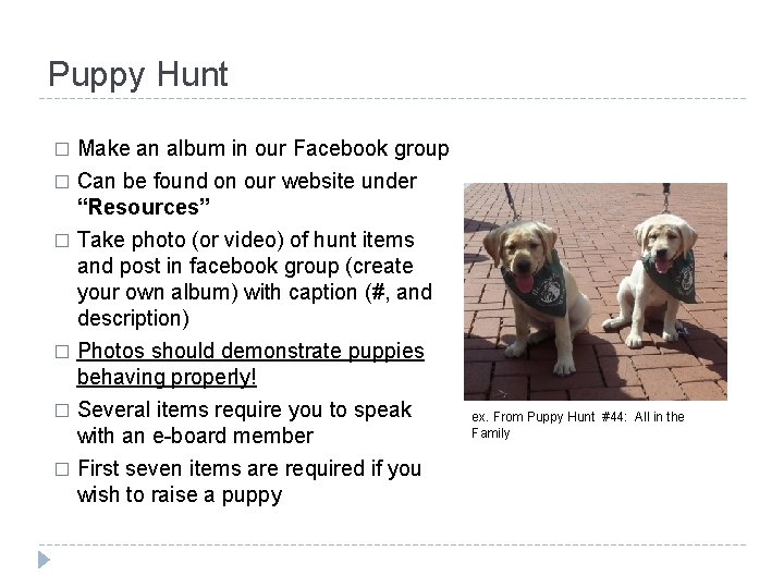 Puppy Hunt Make an album in our Facebook group � Can be found on