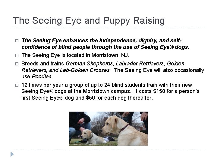 The Seeing Eye and Puppy Raising � The Seeing Eye enhances the independence, dignity,