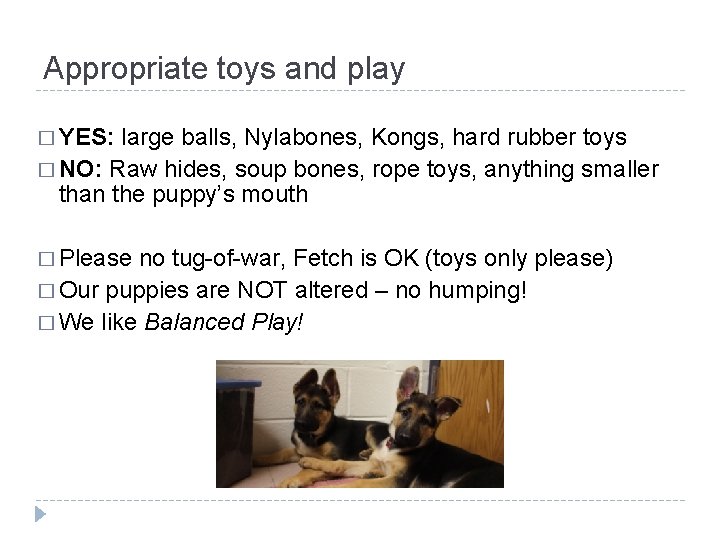 Appropriate toys and play � YES: large balls, Nylabones, Kongs, hard rubber toys �