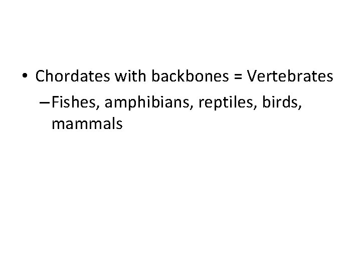  • Chordates with backbones = Vertebrates – Fishes, amphibians, reptiles, birds, mammals 