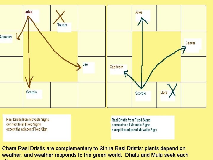 Understanding Rasi Dristi Chara Rasi Dristis are complementary to Sthira Rasi Dristis: plants depend