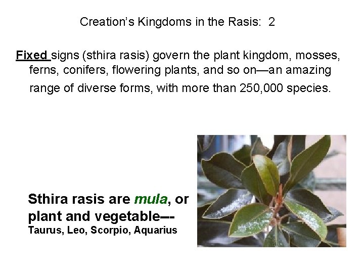 Creation’s Kingdoms in the Rasis: 2 Fixed signs (sthira rasis) govern the plant kingdom,