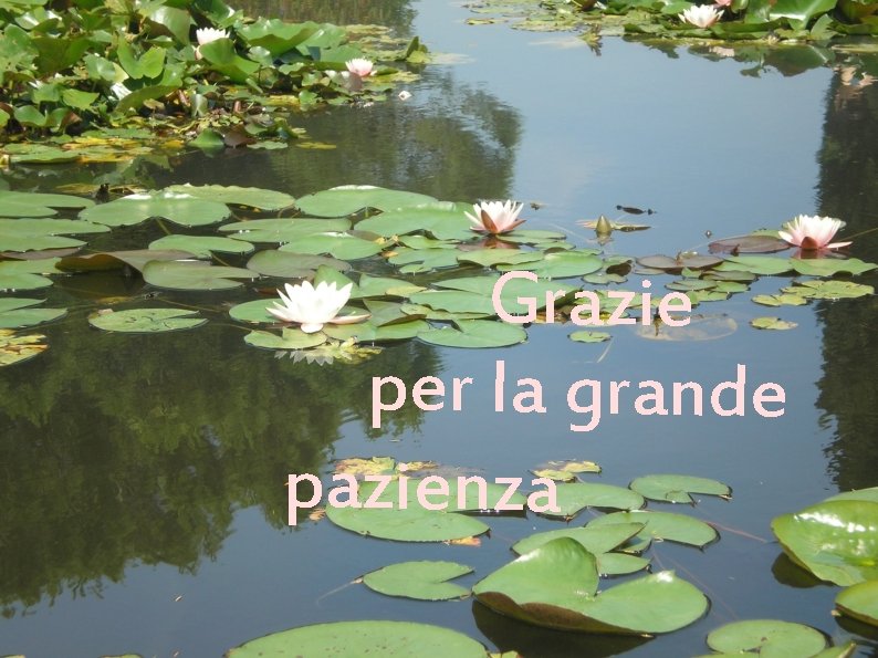 Grazie per la grande pazienza 