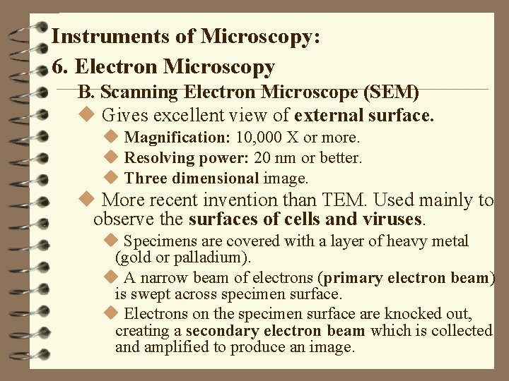 Instruments of Microscopy: 6. Electron Microscopy B. Scanning Electron Microscope (SEM) u Gives excellent