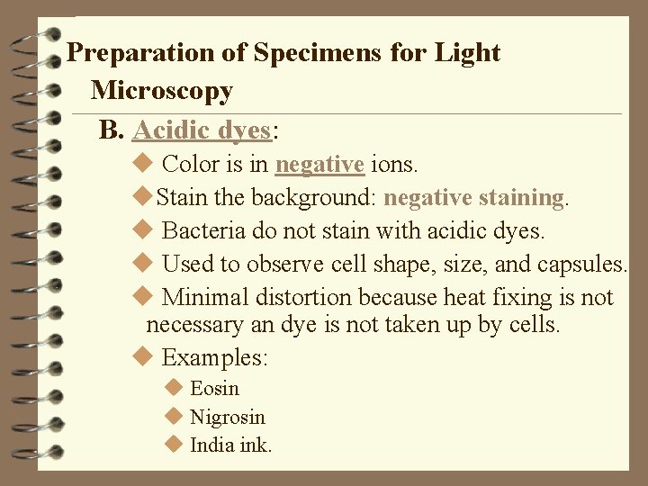 Preparation of Specimens for Light Microscopy B. Acidic dyes: u Color is in negative