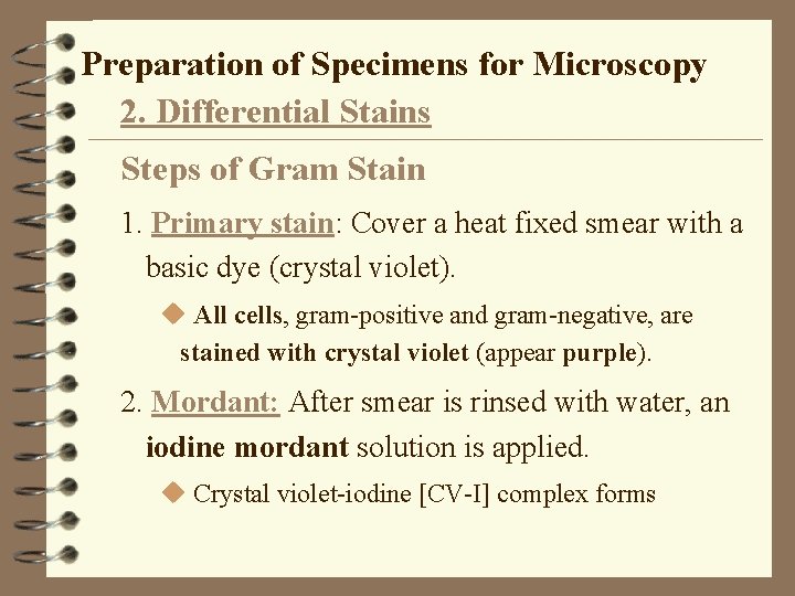 Preparation of Specimens for Microscopy 2. Differential Stains Steps of Gram Stain 1. Primary