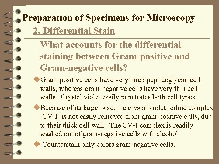 Preparation of Specimens for Microscopy 2. Differential Stain What accounts for the differential staining