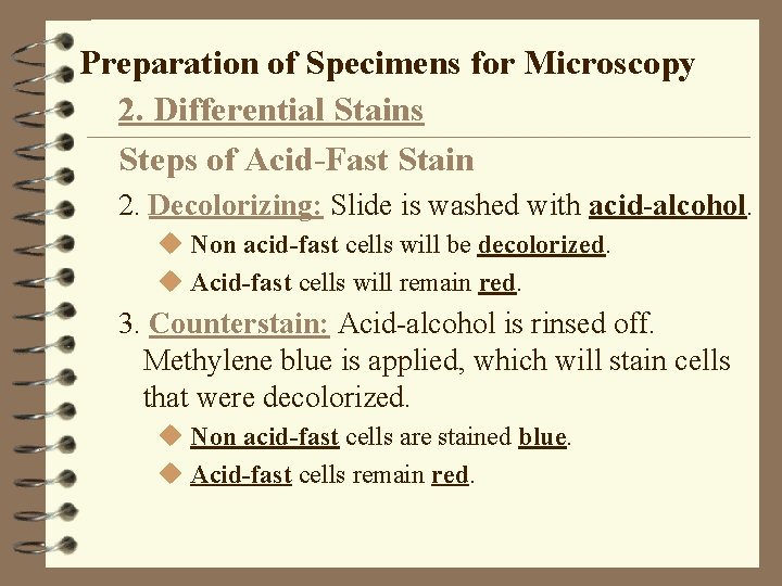 Preparation of Specimens for Microscopy 2. Differential Stains Steps of Acid-Fast Stain 2. Decolorizing: