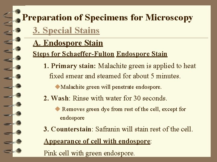 Preparation of Specimens for Microscopy 3. Special Stains A. Endospore Stain Steps for Schaeffer-Fulton