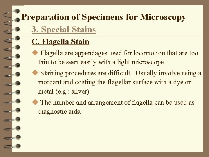 Preparation of Specimens for Microscopy 3. Special Stains C. Flagella Stain u Flagella are