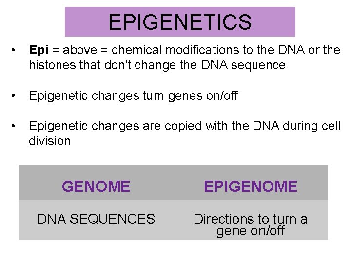 EPIGENETICS • Epi = above = chemical modifications to the DNA or the histones