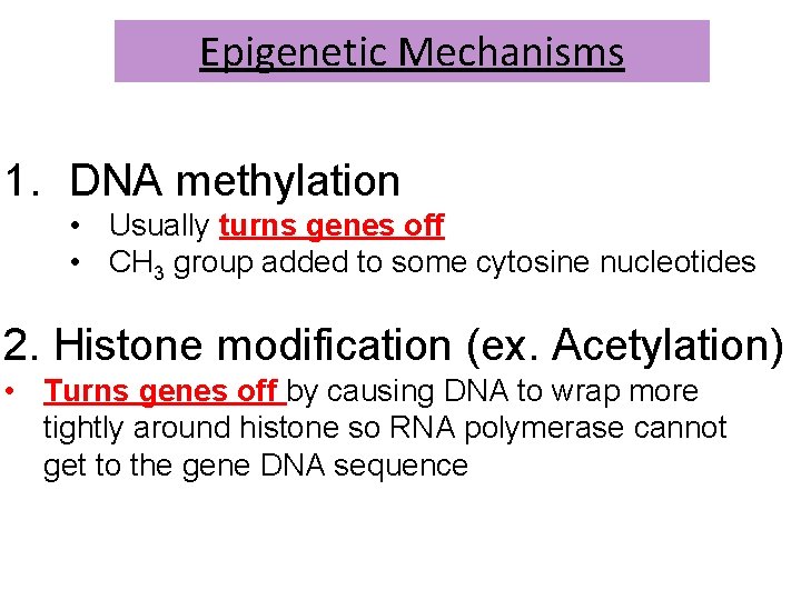 Epigenetic Mechanisms 1. DNA methylation • Usually turns genes off • CH 3 group