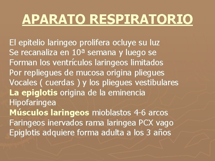 APARATO RESPIRATORIO El epitelio laringeo prolifera ocluye su luz Se recanaliza en 10ª semana