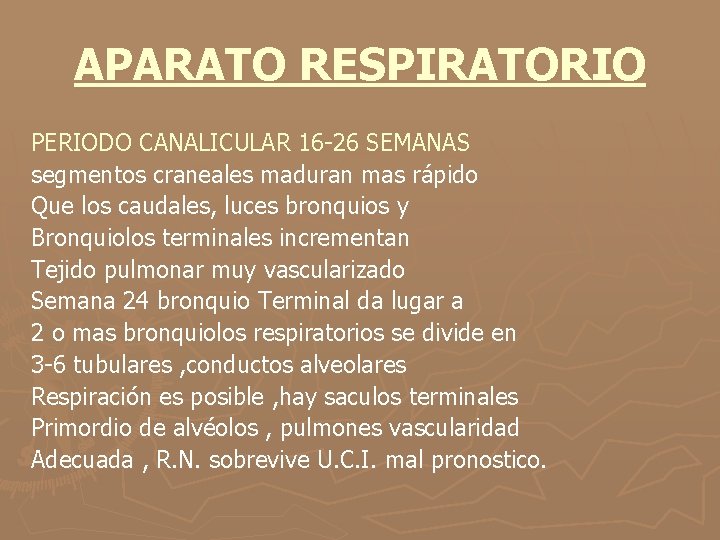 APARATO RESPIRATORIO PERIODO CANALICULAR 16 -26 SEMANAS segmentos craneales maduran mas rápido Que los
