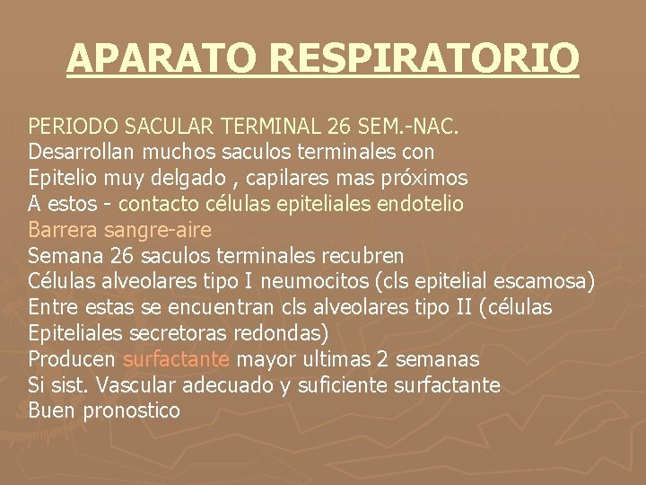 APARATO RESPIRATORIO PERIODO SACULAR TERMINAL 26 SEM. -NAC. Desarrollan muchos saculos terminales con Epitelio