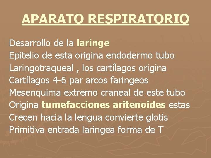 APARATO RESPIRATORIO Desarrollo de la laringe Epitelio de esta origina endodermo tubo Laringotraqueal ,