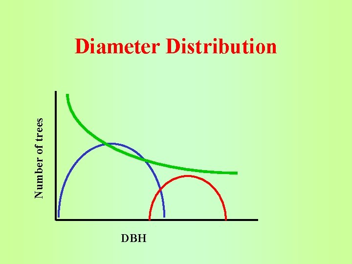 Number of trees Diameter Distribution DBH 