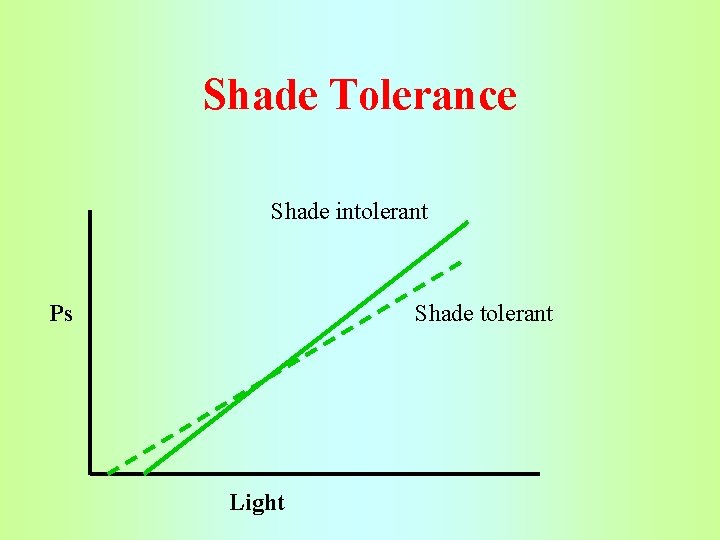 Shade Tolerance Shade intolerant Ps Shade tolerant Light 