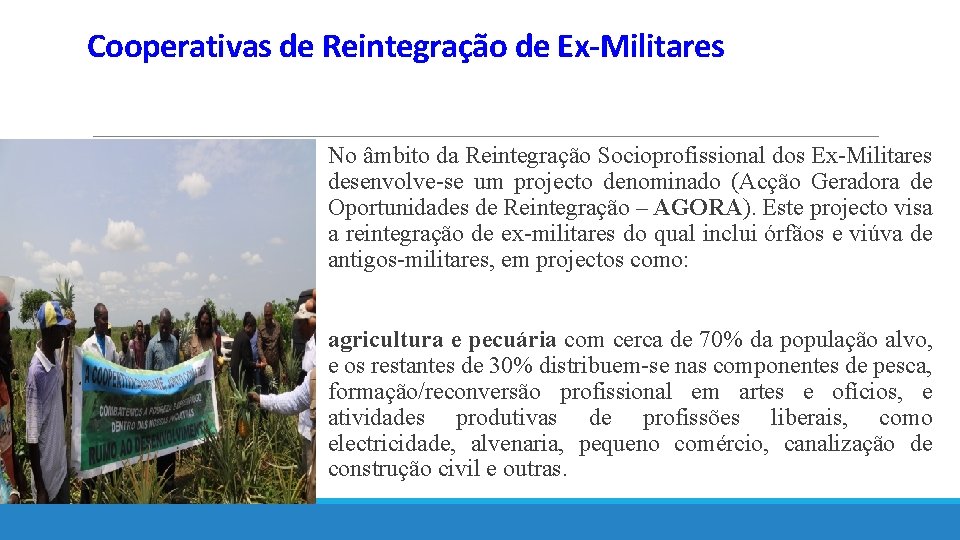 Cooperativas de Reintegração de Ex-Militares No âmbito da Reintegração Socioprofissional dos Ex-Militares desenvolve-se um