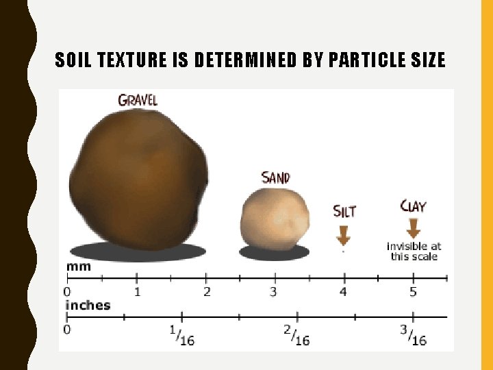 SOIL TEXTURE IS DETERMINED BY PARTICLE SIZE 
