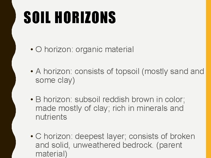 SOIL HORIZONS • O horizon: organic material • A horizon: consists of topsoil (mostly