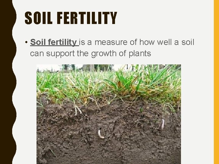 SOIL FERTILITY • Soil fertility is a measure of how well a soil can