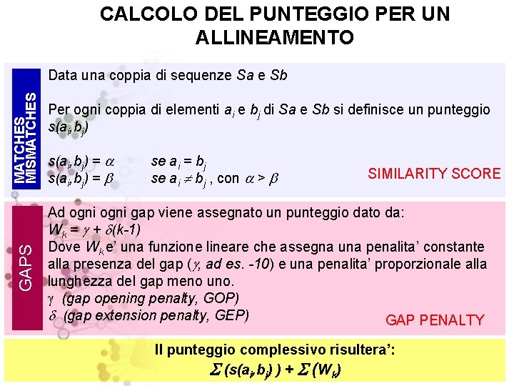 CALCOLO DEL PUNTEGGIO PER UN ALLINEAMENTO MATCHES MISMATCHES Data una coppia di sequenze Sa