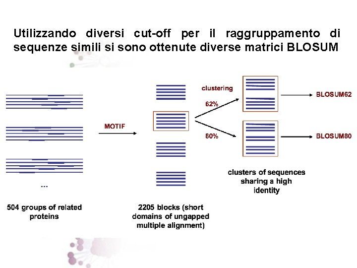 Utilizzando diversi cut-off per il raggruppamento di sequenze simili si sono ottenute diverse matrici