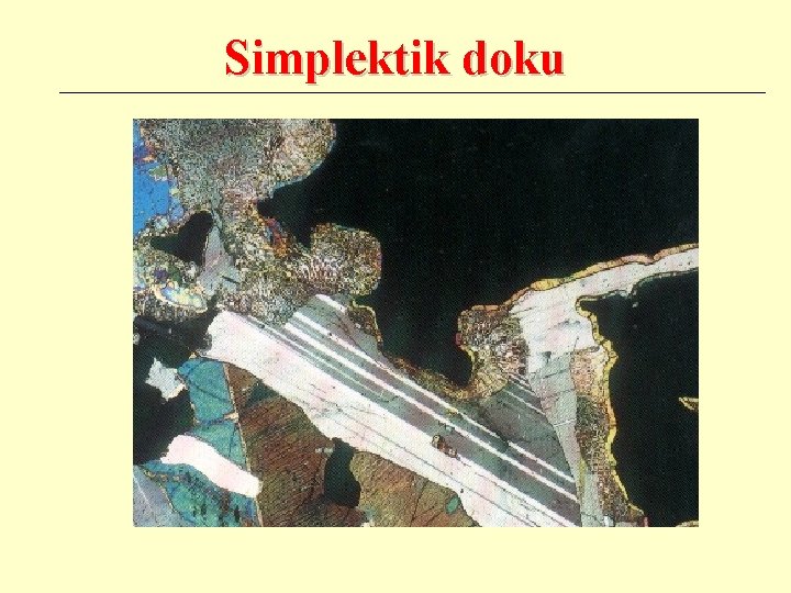Simplektik doku 