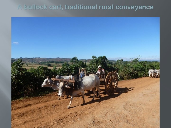 A bullock cart, traditional rural conveyance 