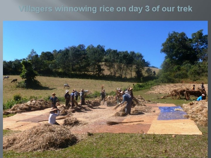 Villagers winnowing rice on day 3 of our trek 