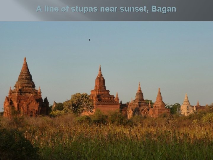 A line of stupas near sunset, Bagan 