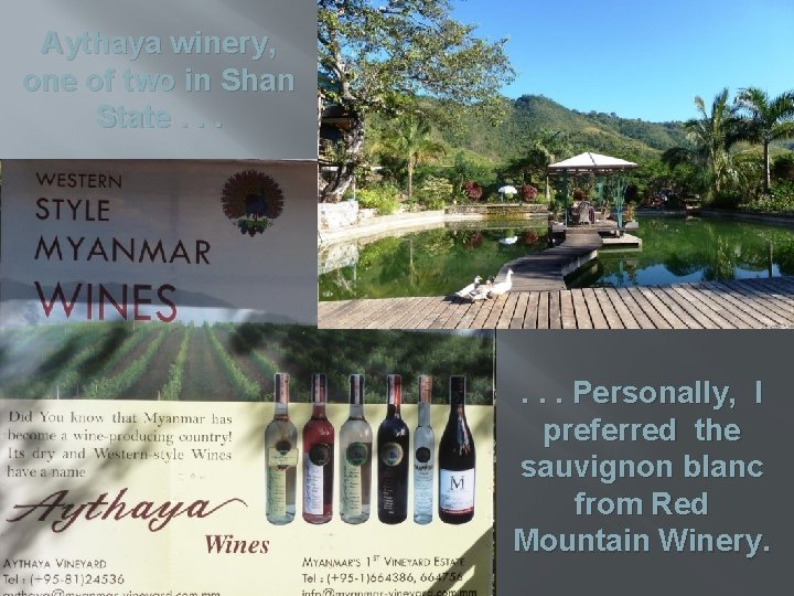 Aythaya winery, one of two in Shan State. . . Personally, I preferred the