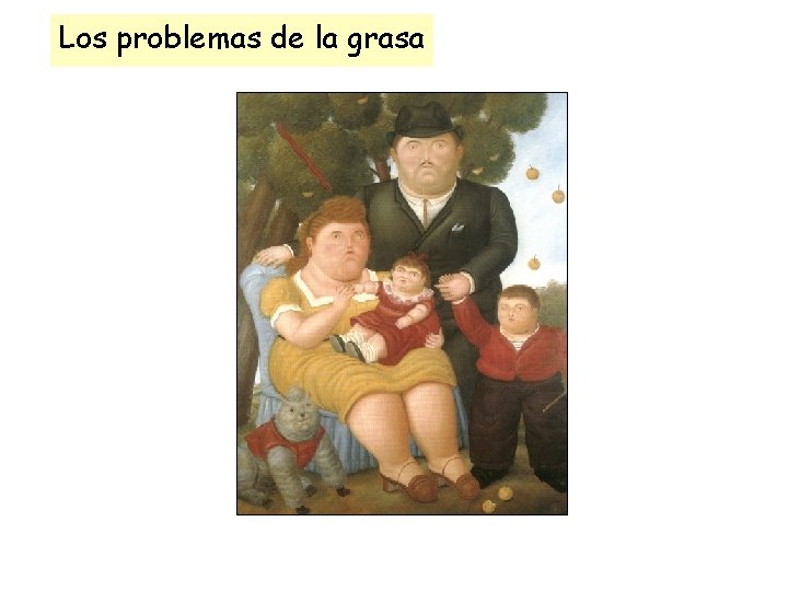 Los problemas de la grasa 