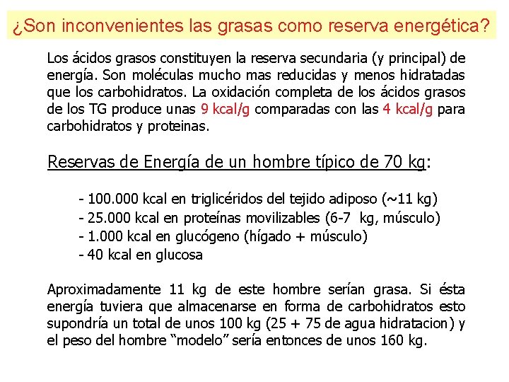 ¿Son inconvenientes las grasas como reserva energética? Los ácidos grasos constituyen la reserva secundaria