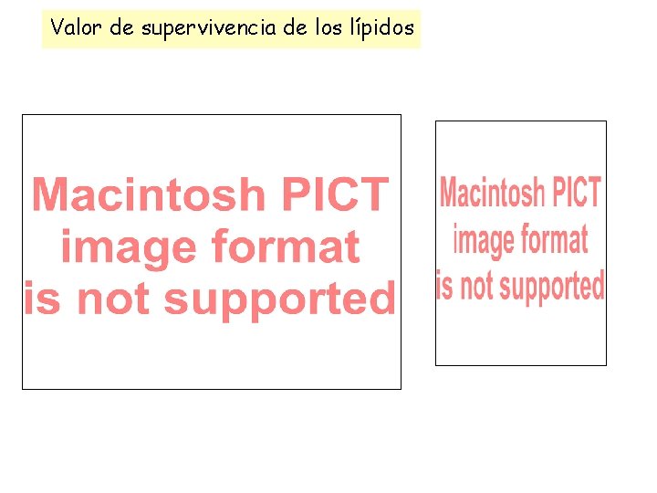 Valor de supervivencia de los lípidos 