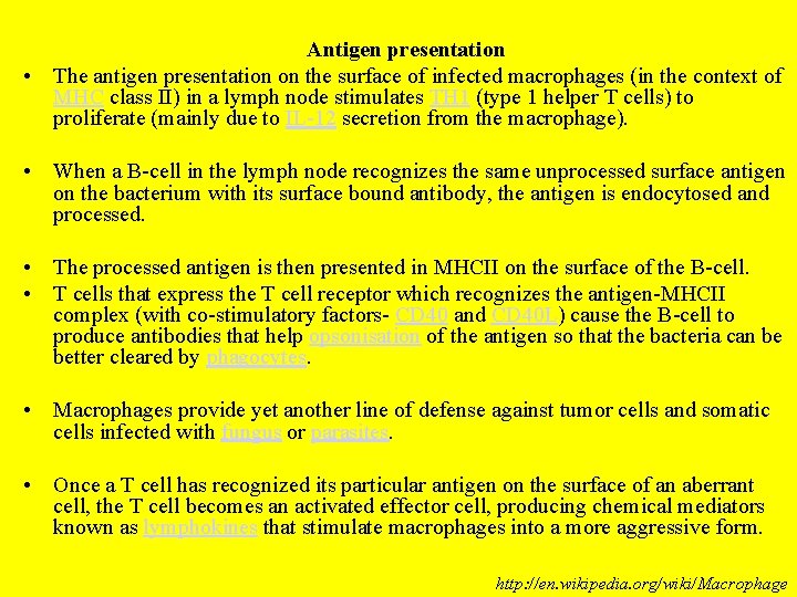 Antigen presentation • The antigen presentation on the surface of infected macrophages (in the